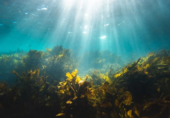 Местные делятся тем, какие выходки туристов особенно выбесили их Местные делятся тем, какие выходки туристов особенно выбесили их