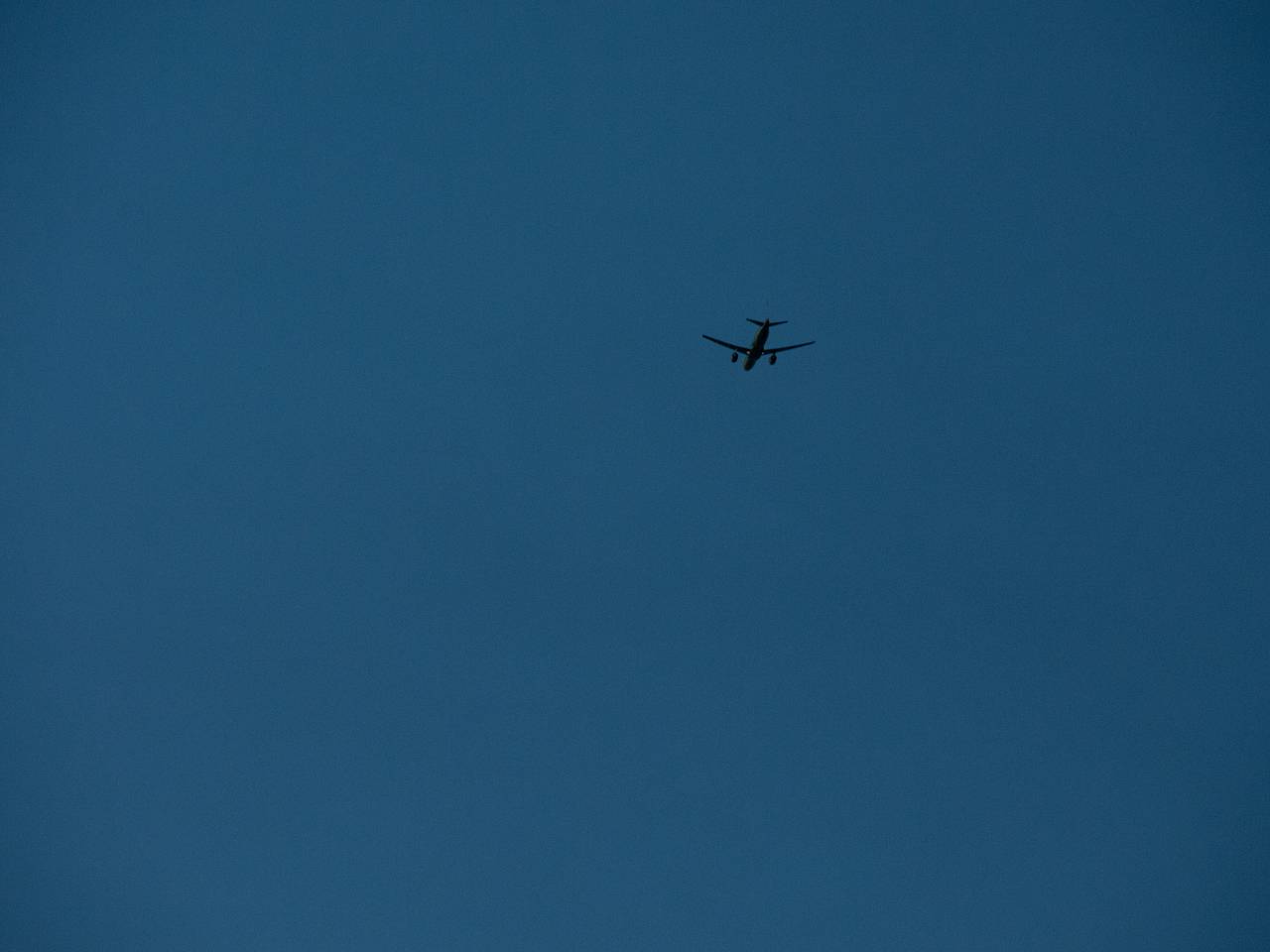 Аэропорт Шереметьево перестал принимать самолеты