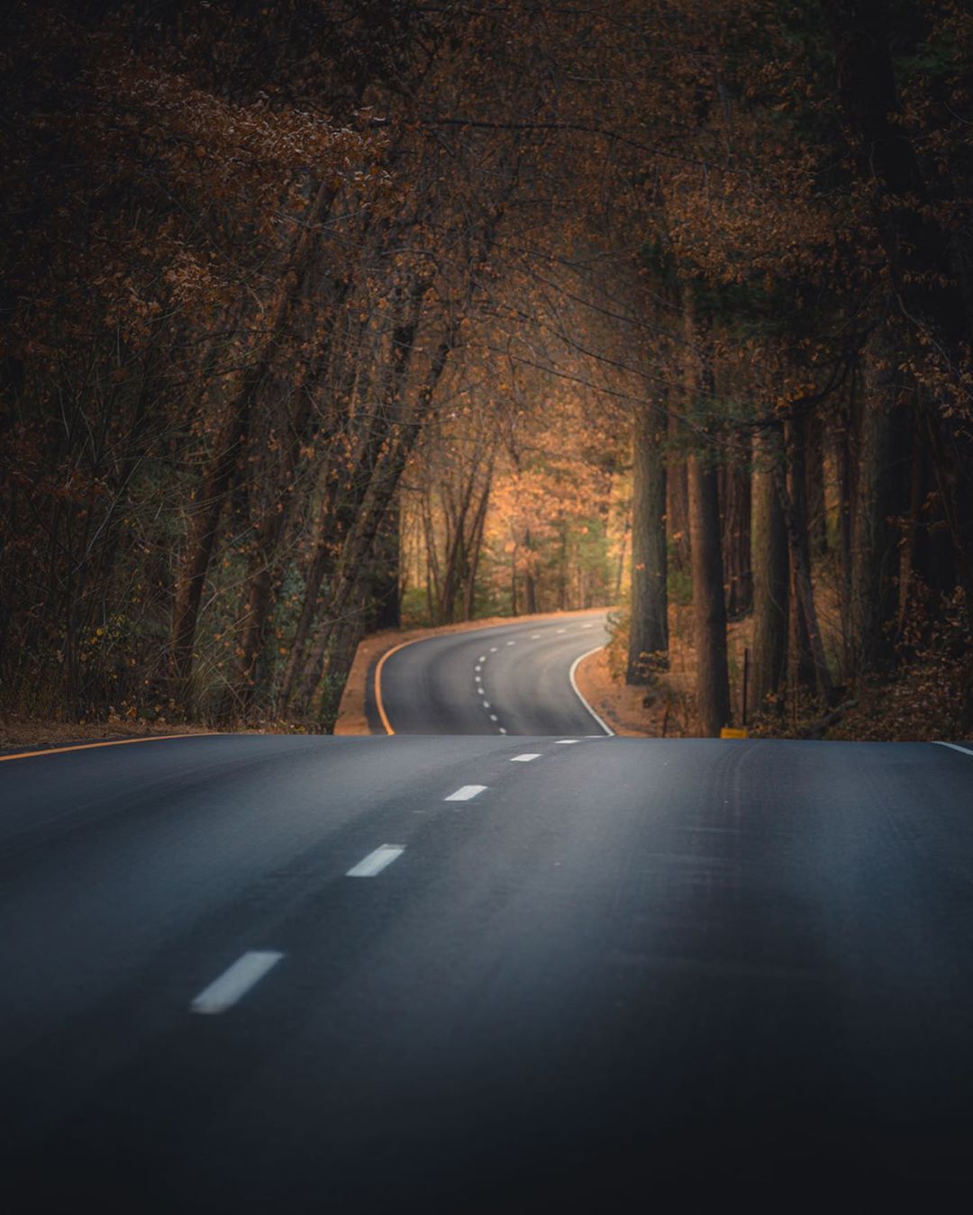 Путешествия и приключения на снимках Пейдж Тинги