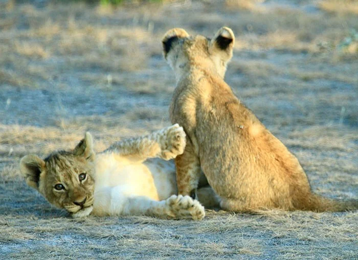 Местные делятся тем, какие выходки туристов особенно выбесили их Местные делятся тем, какие выходки туристов особенно выбесили их