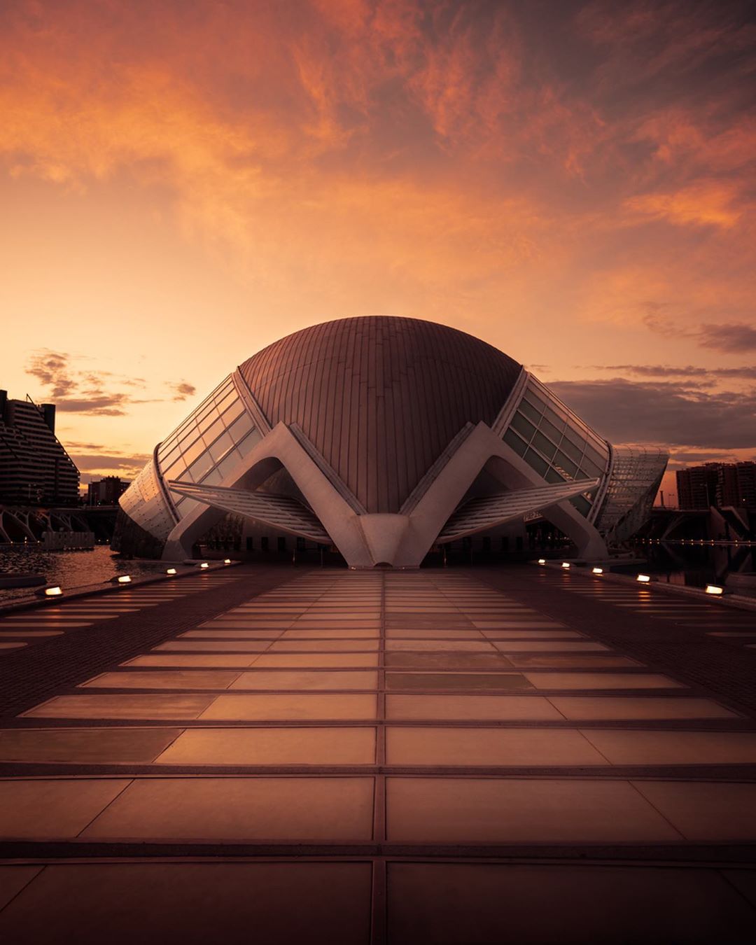 Путешествия и приключения на снимках Пейдж Тинги