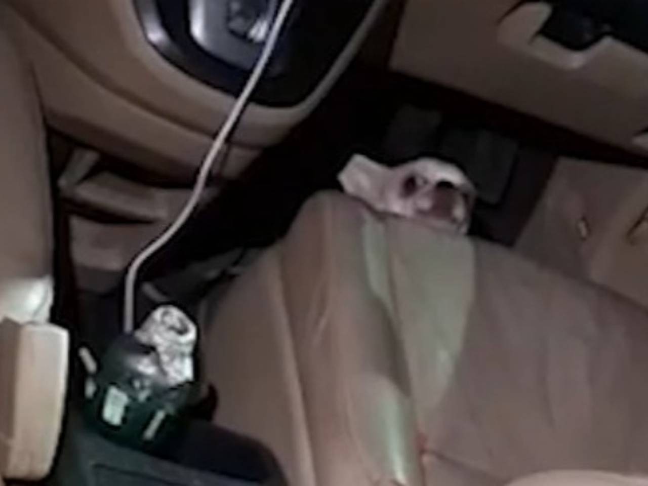 Замешанная в скандале с марихуаной в Таиланде россиянка оставила собаку в машине на жаре