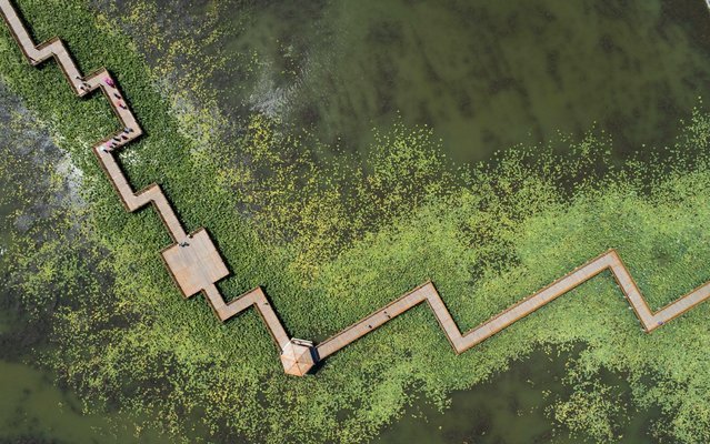 20 головокружительных видов с высоты 20 головокружительных видов с высоты