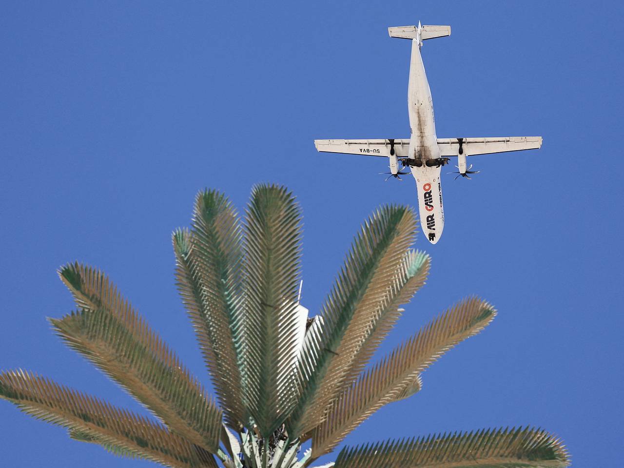 Россиянке отказали в регистрации младенца на рейс до Египта