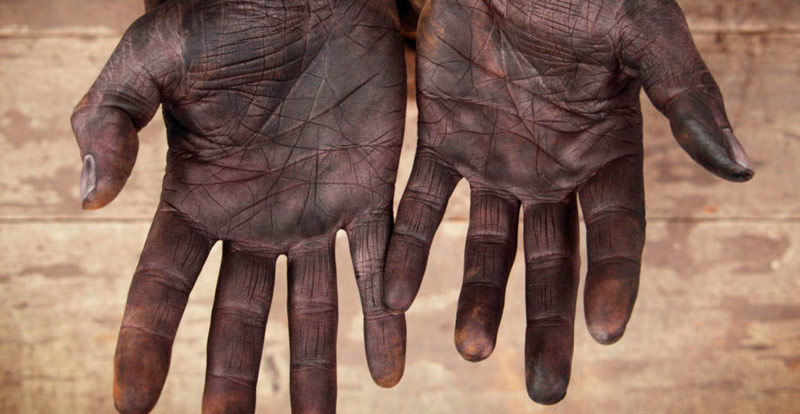 &laquo;Танцы с мёртвыми&raquo; и деревья‑людоеды: 13 причин, почему Мадагаскар удивляет