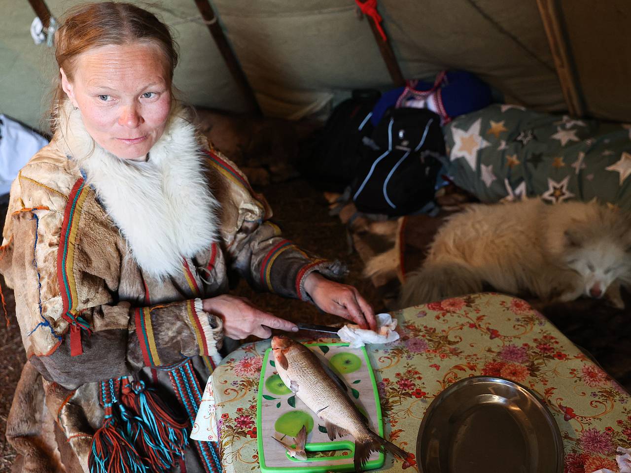 Россиянка описала жизнь женщин-оленеводов в тундре фразой &laquo;ее задача &mdash; подавать еду&raquo;
