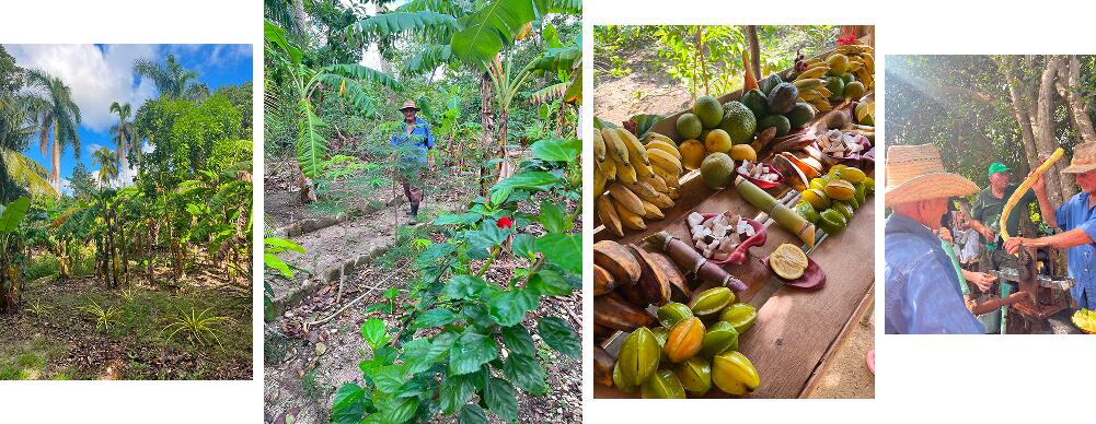 Экскурсии в Ольгине на Кубе: полный гид для турагентов Экскурсии в Ольгине на Кубе: полный гид для турагентов