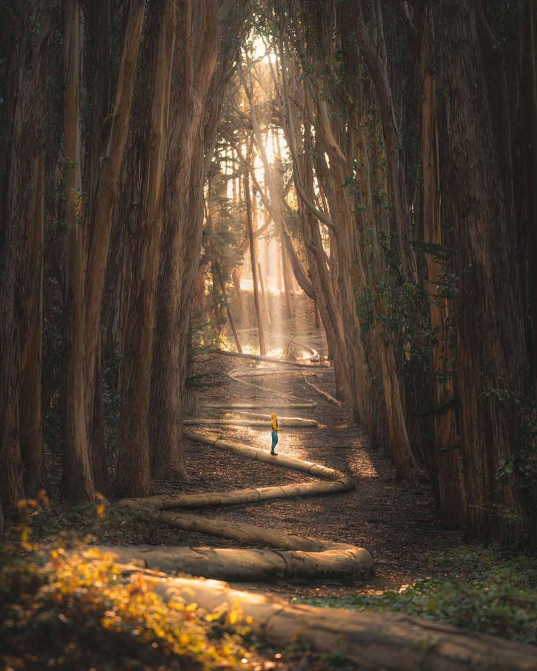 Путешествия и приключения на снимках Пейдж Тинги