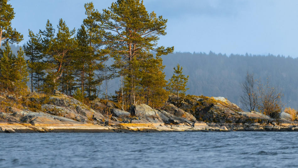 Отдых в Карелии на Новый год подорожал на 20% Отдых в Карелии на Новый год подорожал на 20%