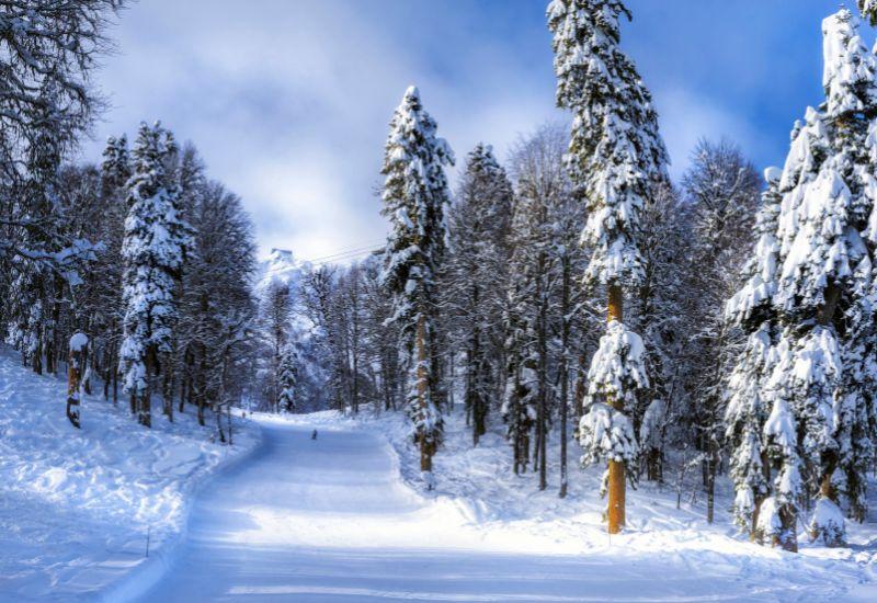 Курорты Красной Поляны 2025: трассы, особенности, обзор какой лучше Курорты Красной Поляны 2025: трассы, особенности, обзор какой лучше