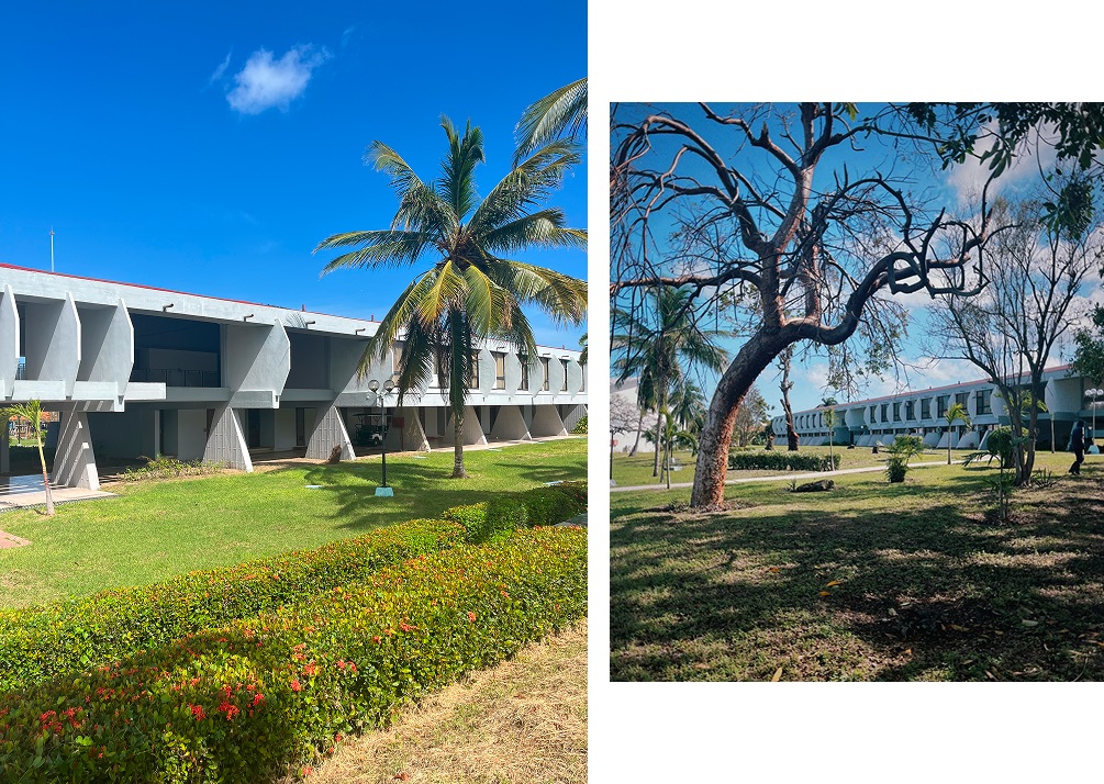 Ольгин на Кубе вновь принимает туристов. Что продавать? Ольгин на Кубе вновь принимает туристов. Что продавать?