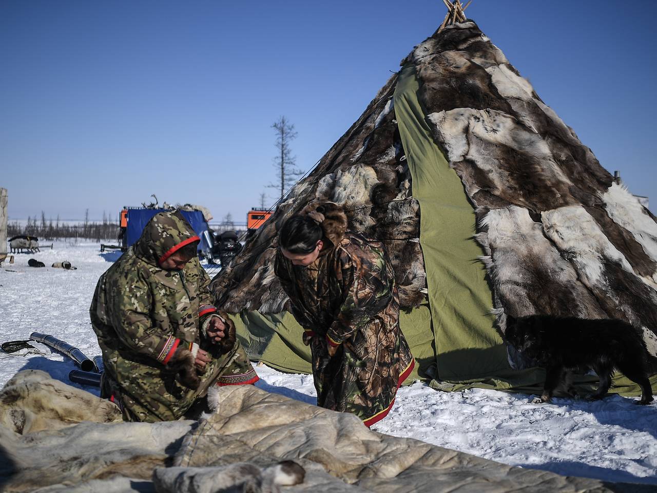 Тревел-блогерша описала жизнь в стойбище оленеводов словами «минус 30 — это тепло»