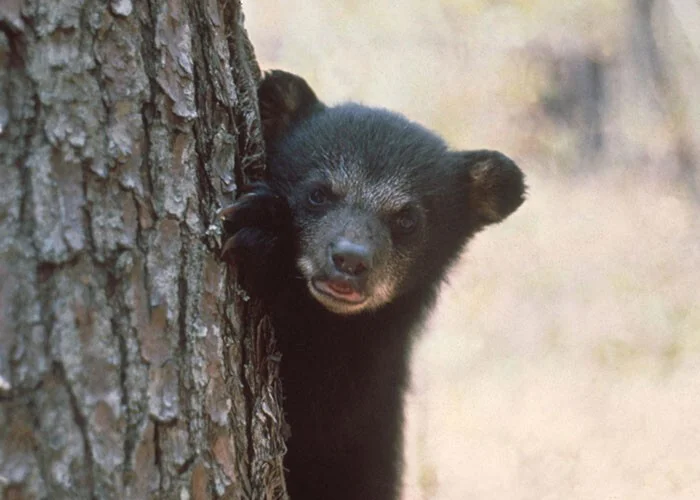 Местные делятся тем, какие выходки туристов особенно выбесили их Местные делятся тем, какие выходки туристов особенно выбесили их