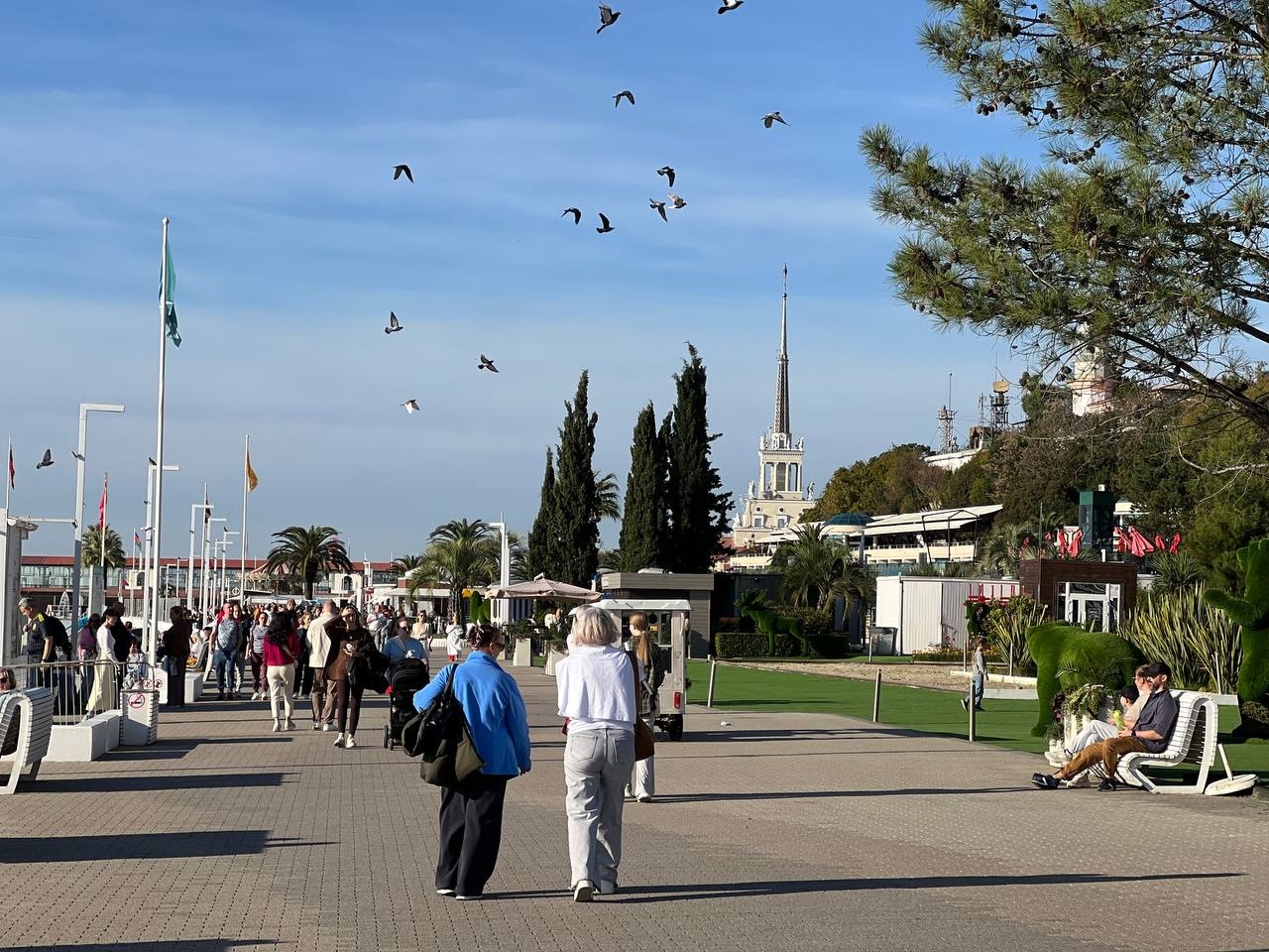 11 лет спустя. Что не так с Сочи и почему всем пора проснуться 11 лет спустя. Что не так с Сочи и почему всем пора проснуться