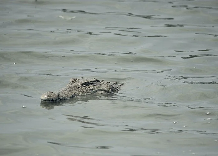 Местные делятся тем, какие выходки туристов особенно выбесили их Местные делятся тем, какие выходки туристов особенно выбесили их
