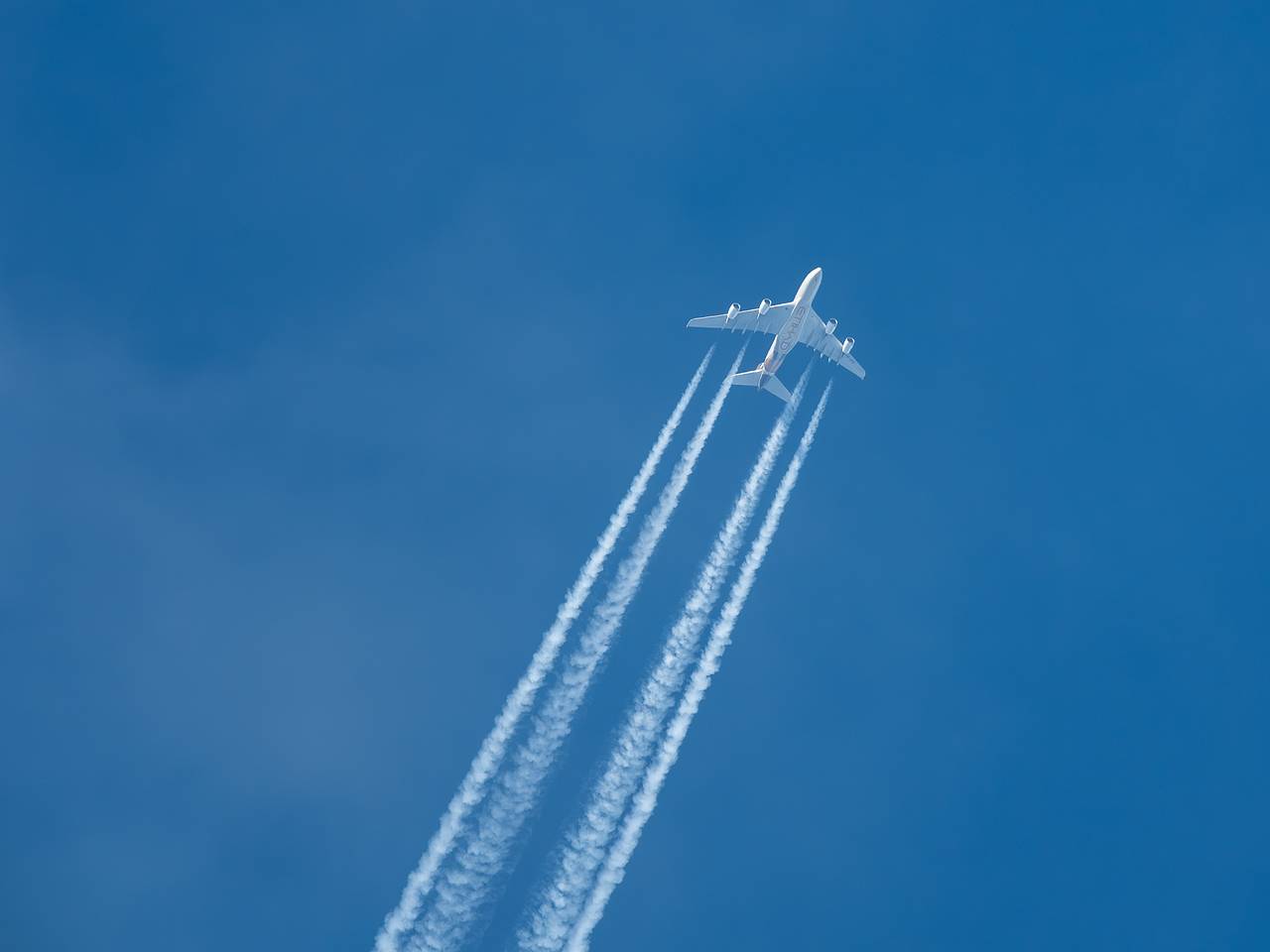 Россиянам назвали набравшие популярность направления для отдыха на праздники