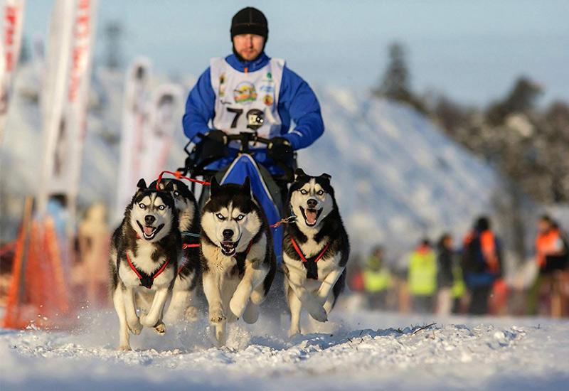 ТОП-37 зимних видов спорта: от олимпийских до необычных