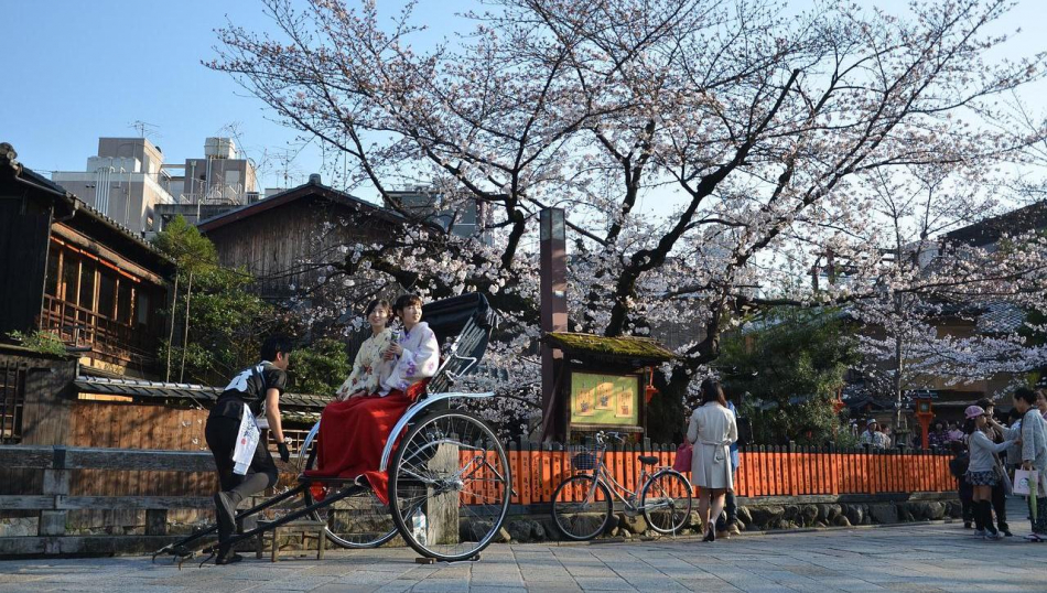Цветение сакуры-2026: актуальные маршруты и визовые особенности Цветение сакуры-2026: актуальные маршруты и визовые особенности