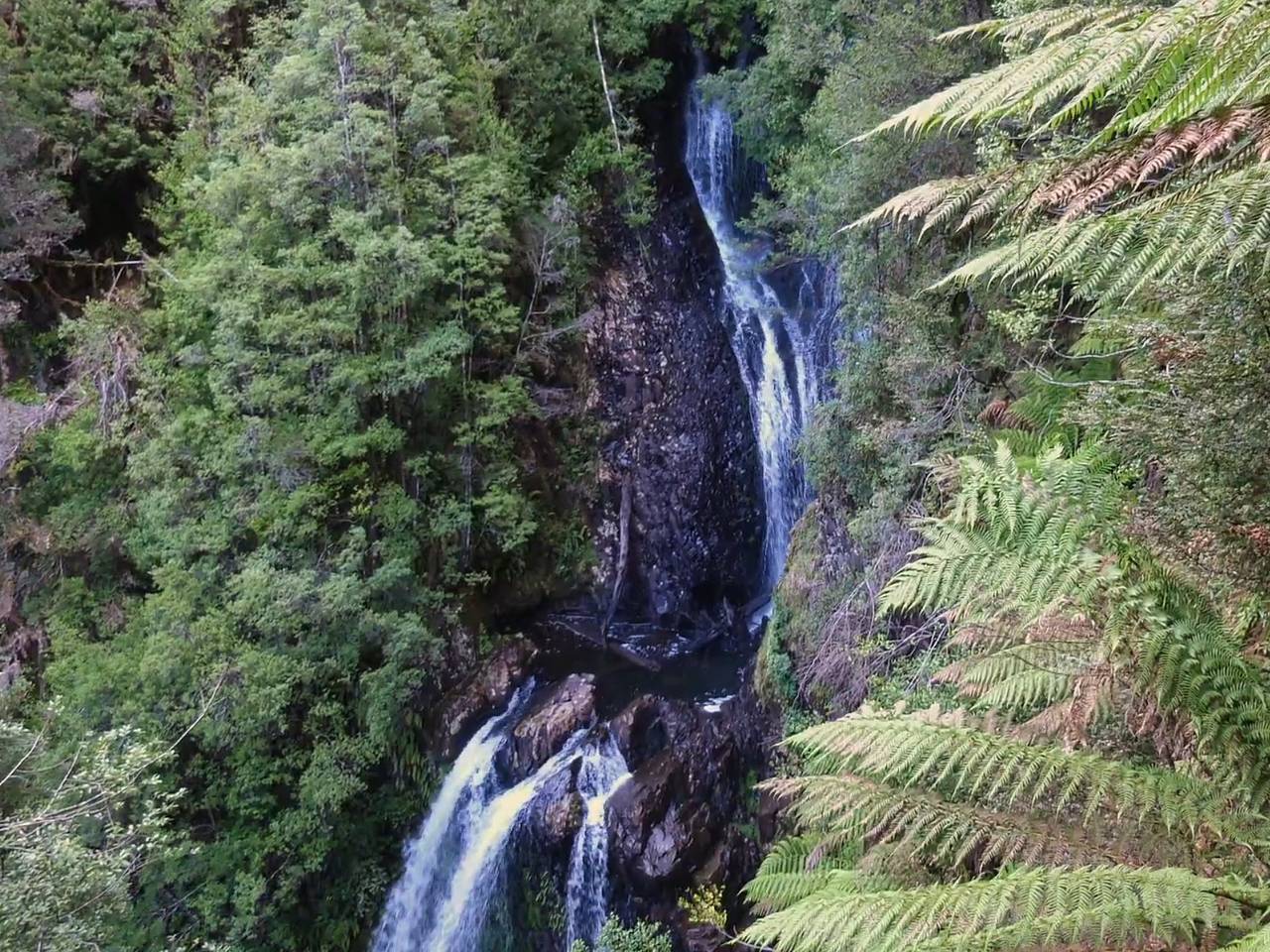 Телефон туристки нашли спустя 2,5 года после ее исчезновения