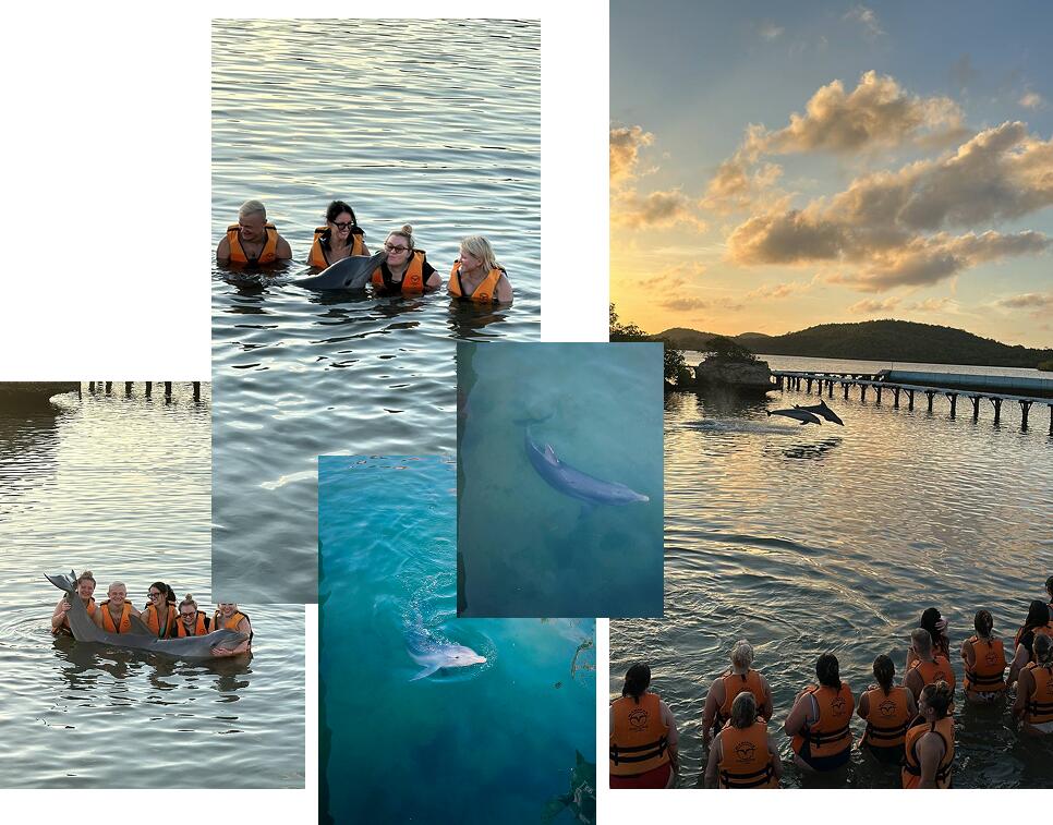 Экскурсии в Ольгине на Кубе: полный гид для турагентов Экскурсии в Ольгине на Кубе: полный гид для турагентов