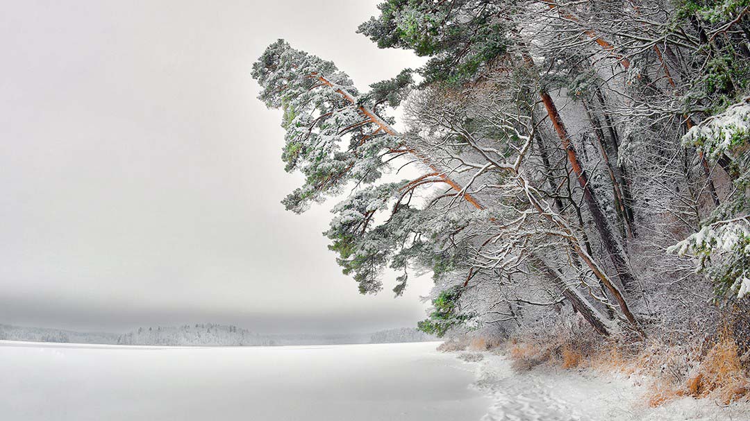 Зимние национальные парки России: где снег лежит нетронутым, а лоси выходят к дорогам