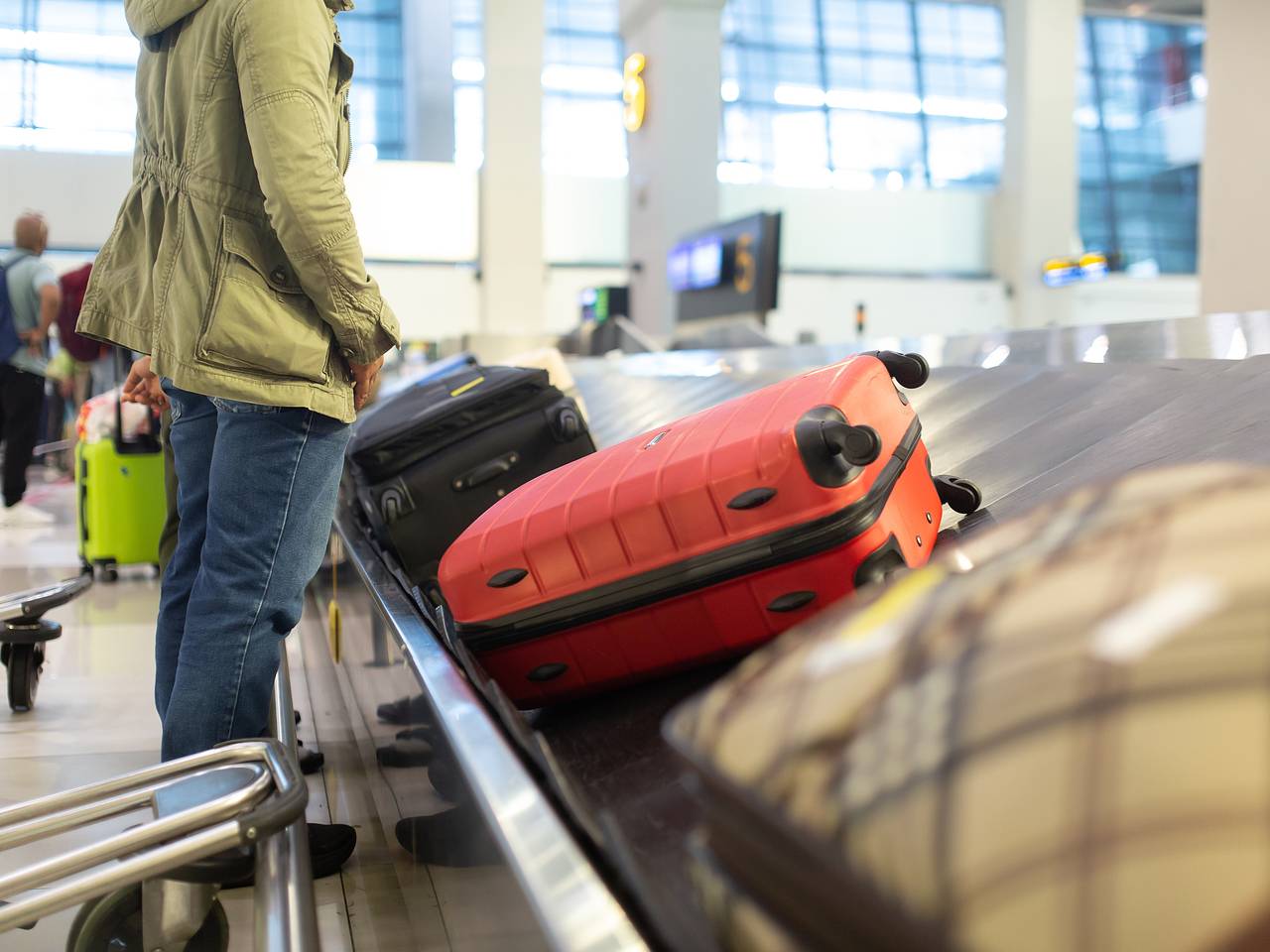 Около 300 единиц багажа россиян в очередной раз забыли погрузить на рейсы