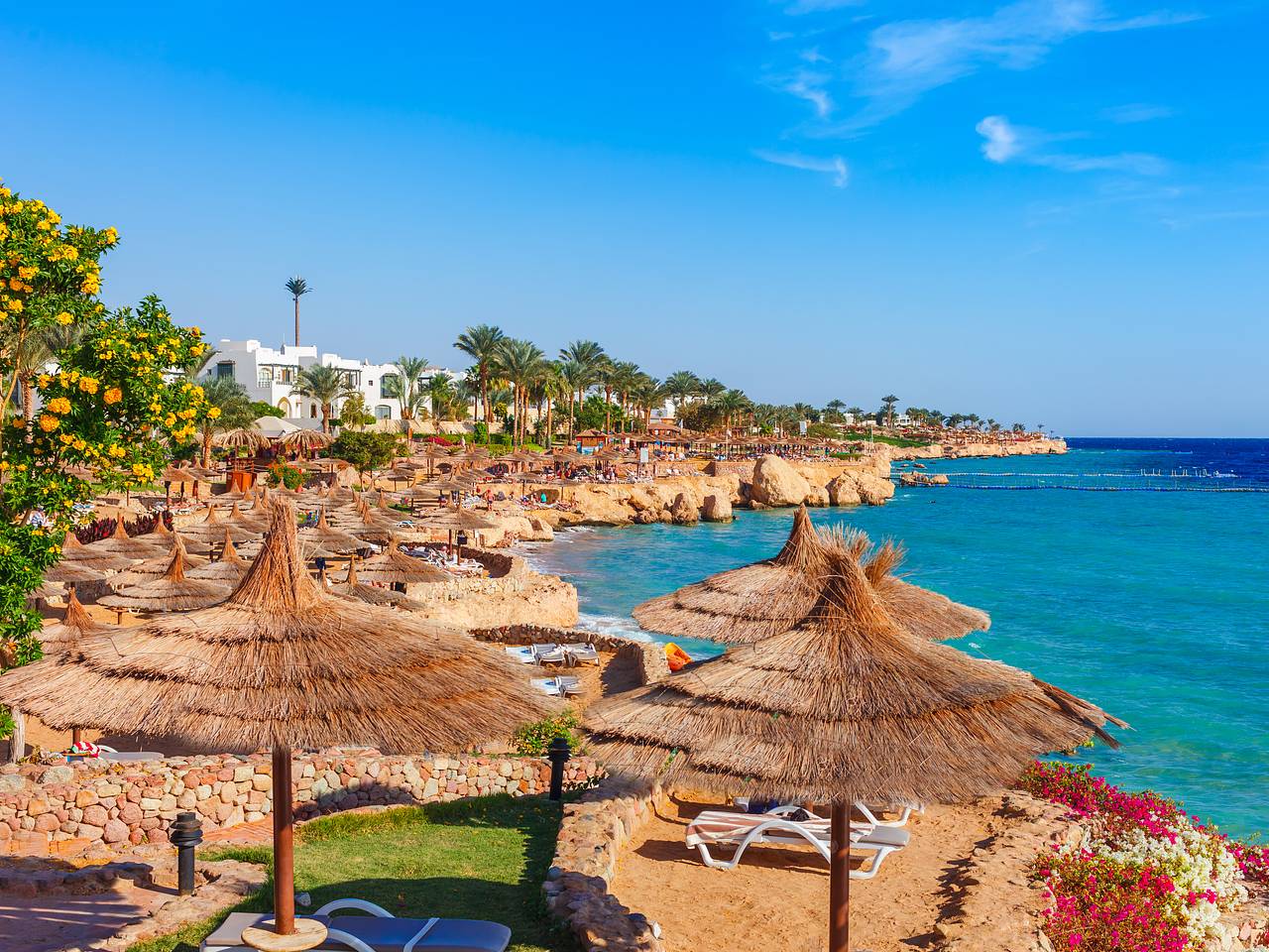 Россияне в январе массово устремятся в три популярные пляжные страны