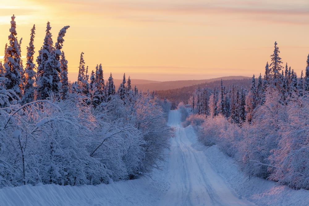 Зимние национальные парки России: где снег лежит нетронутым, а лоси выходят к дорогам
