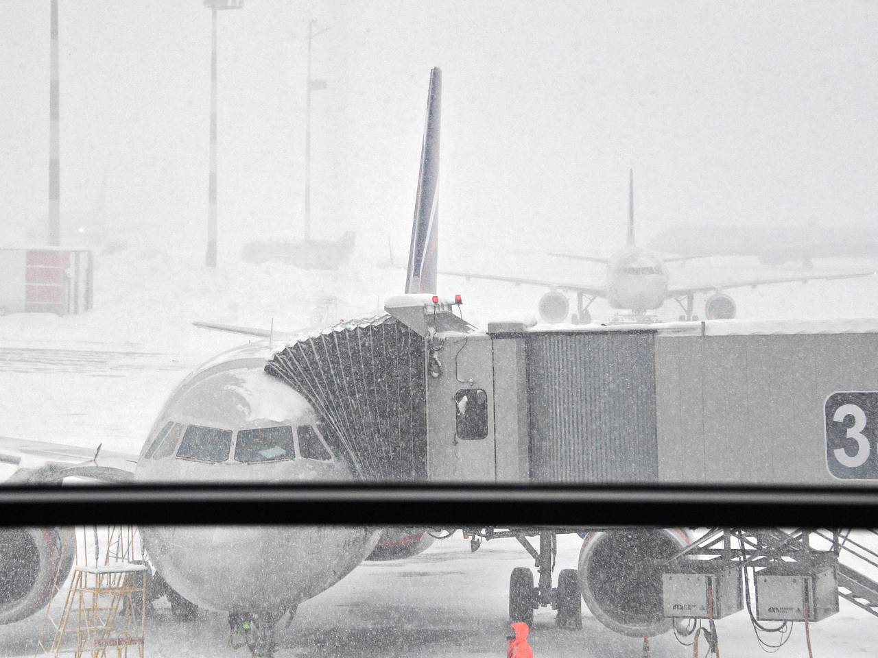 &laquo;Аэрофлот&raquo; запланировал возобновить рейсы в Шереметьево по расписанию