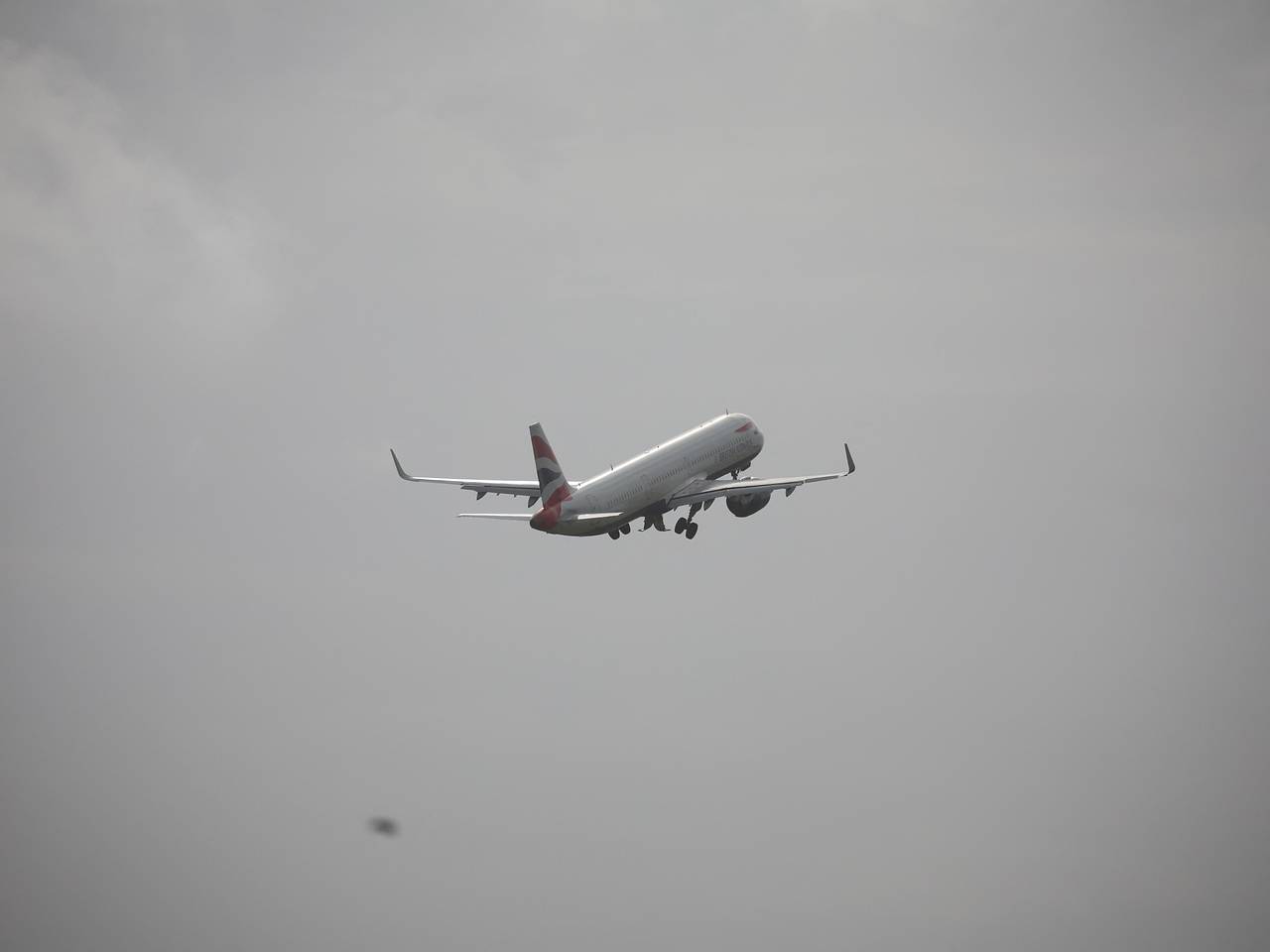 Пассажира самолета вырвало на попутчиков по вине бортпроводников