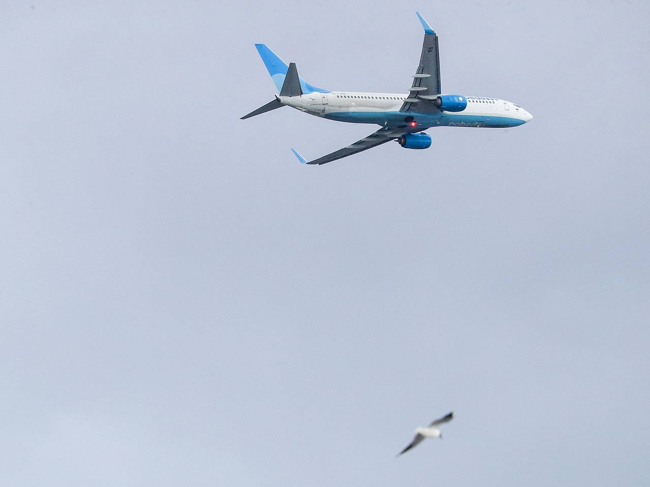 Российский самолет опасно сблизился в небе с другим лайнером из-за ошибки диспетчера