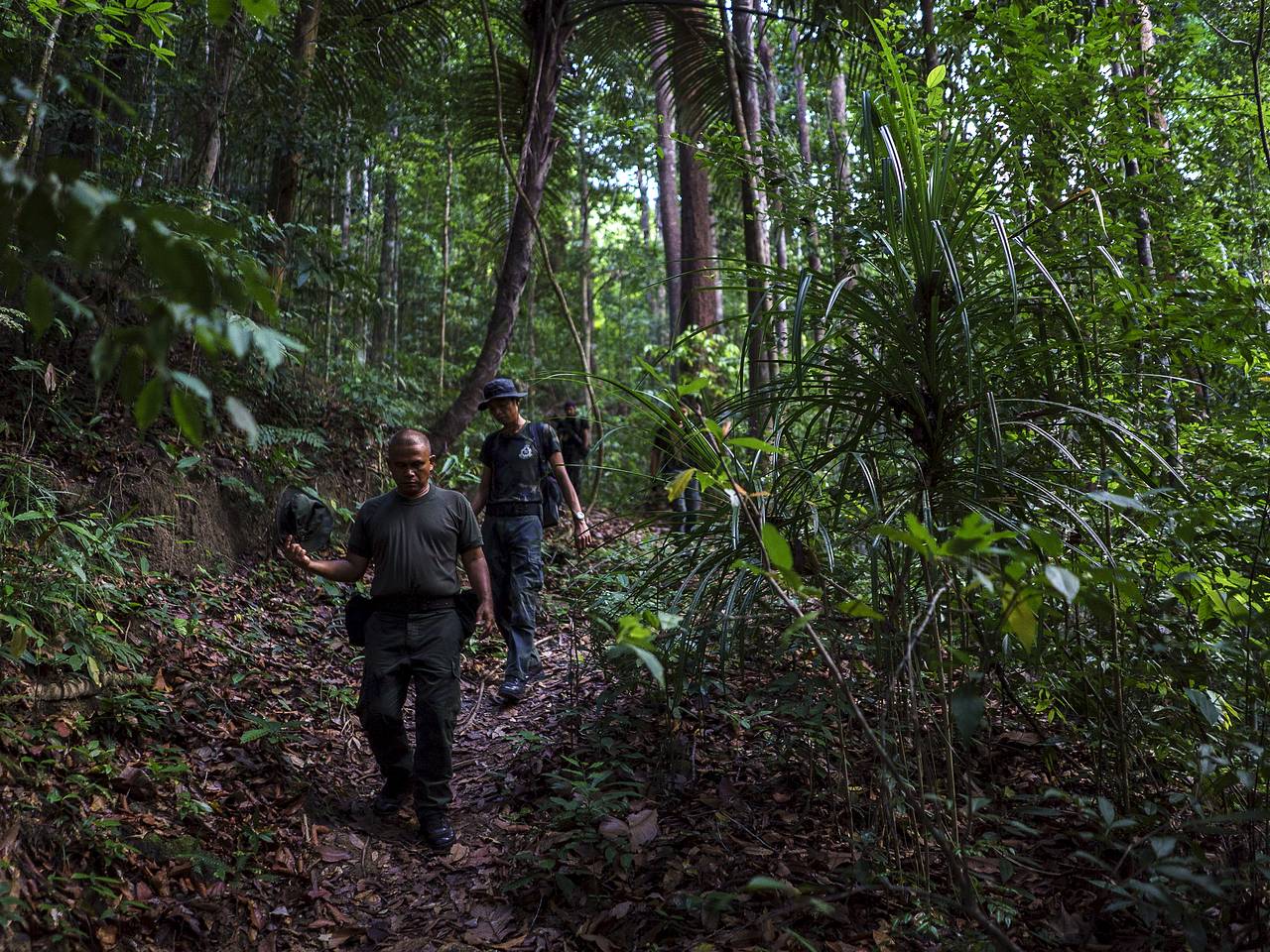 Турист заблудился и провел ночь в кишащих змеями джунглях в Таиланде