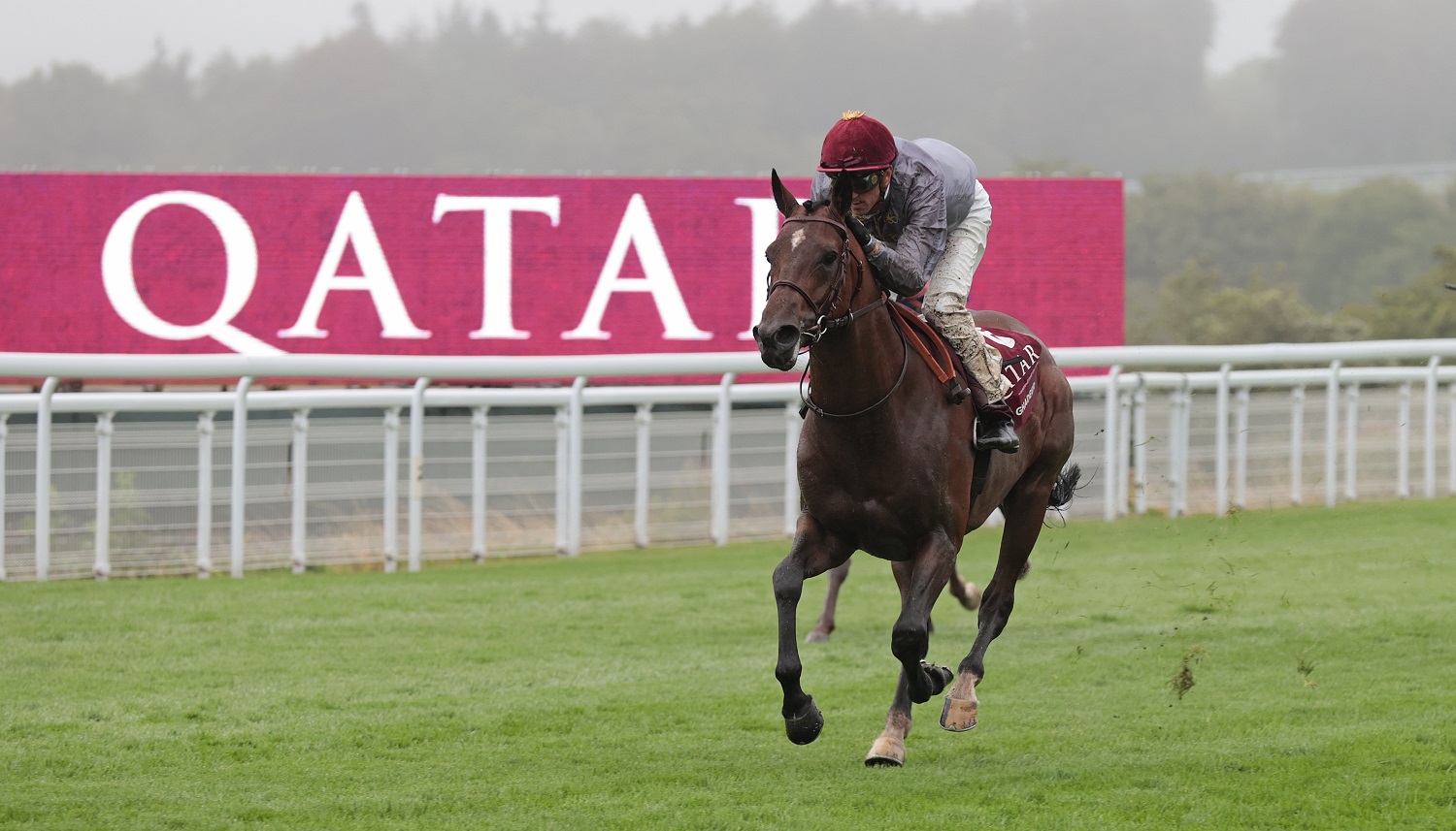 Катар становится одним из главных ближневосточных направлений 2026 года