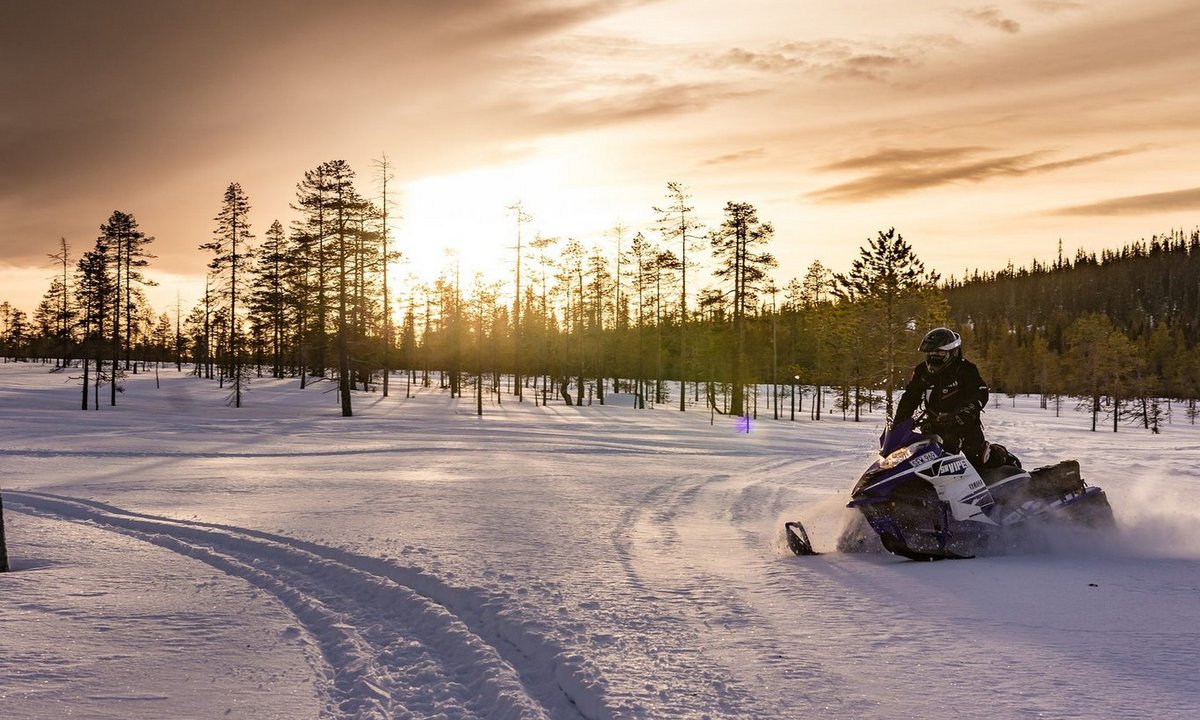 Зимние национальные парки России: где снег лежит нетронутым, а лоси выходят к дорогам