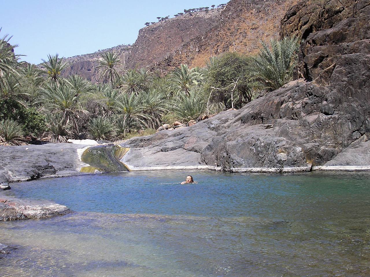 Первым застрявшим на Сокотре российским туристам удалось покинуть остров