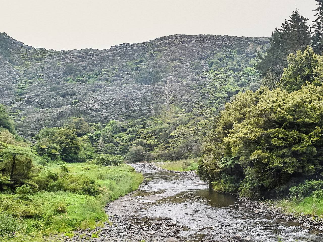 Семья туристов с детьми оказалась заблокирована в ущелье из-за наводнения
