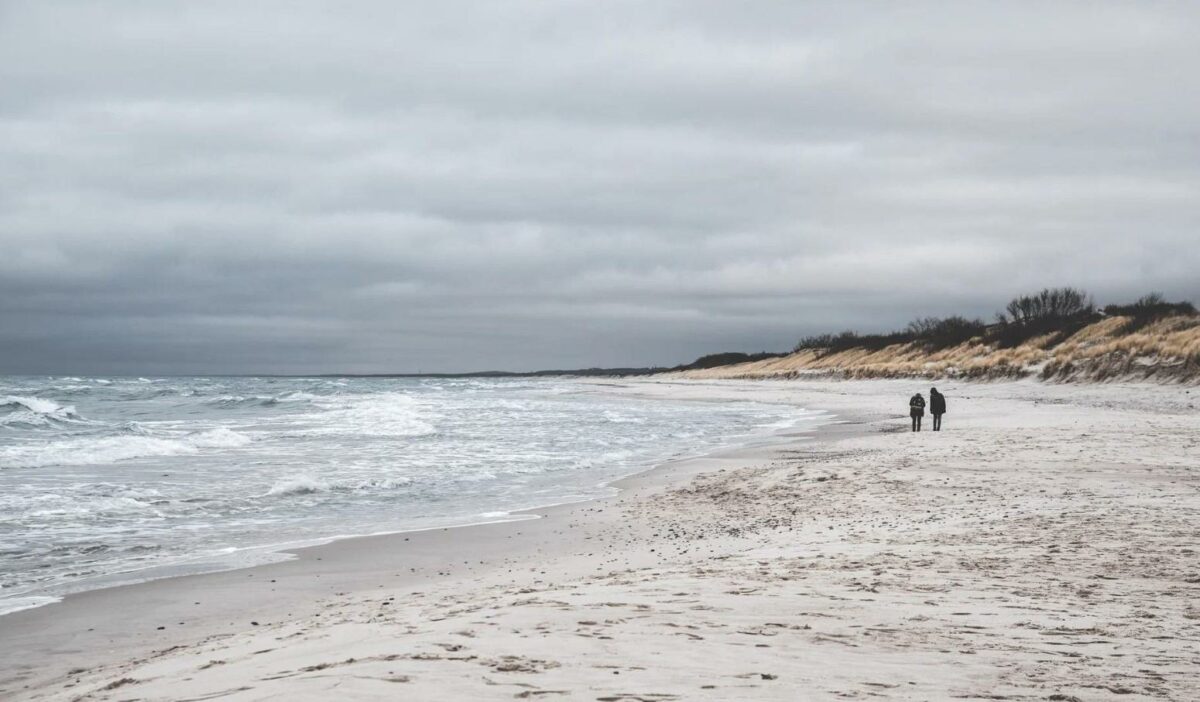 Зимние национальные парки России: где снег лежит нетронутым, а лоси выходят к дорогам