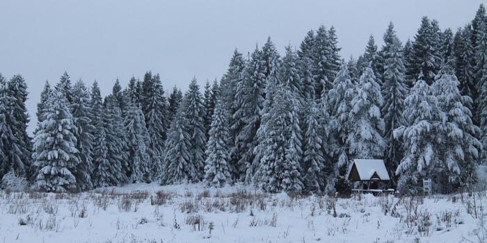 Зимние национальные парки России: где снег лежит нетронутым, а лоси выходят к дорогам