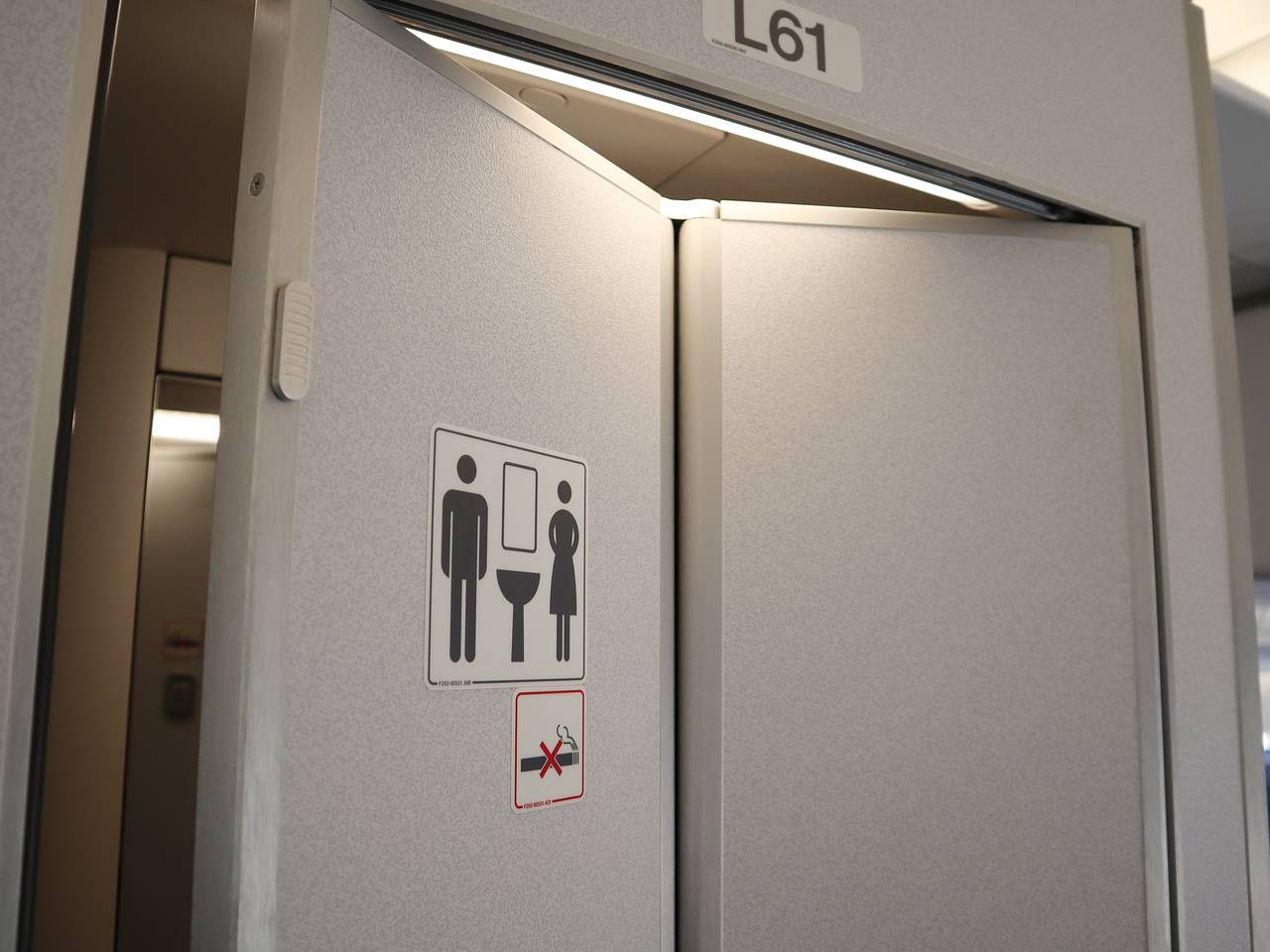 Стюардессы отказались убрать фекалии из засорившегося туалета самолета и сорвали рейс