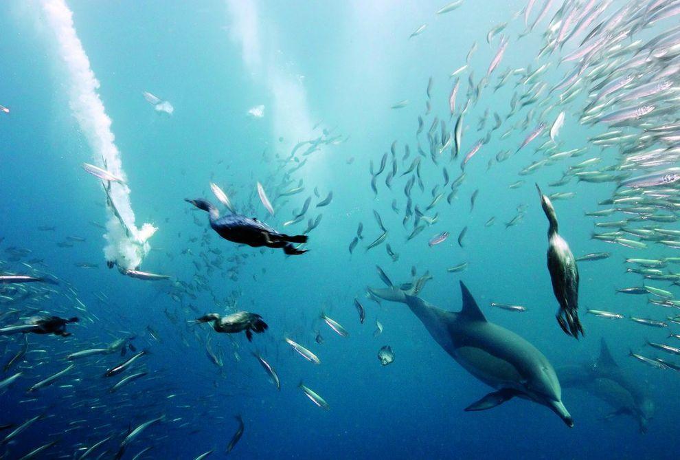 Самые красивые уголки планеты Самые красивые уголки планеты