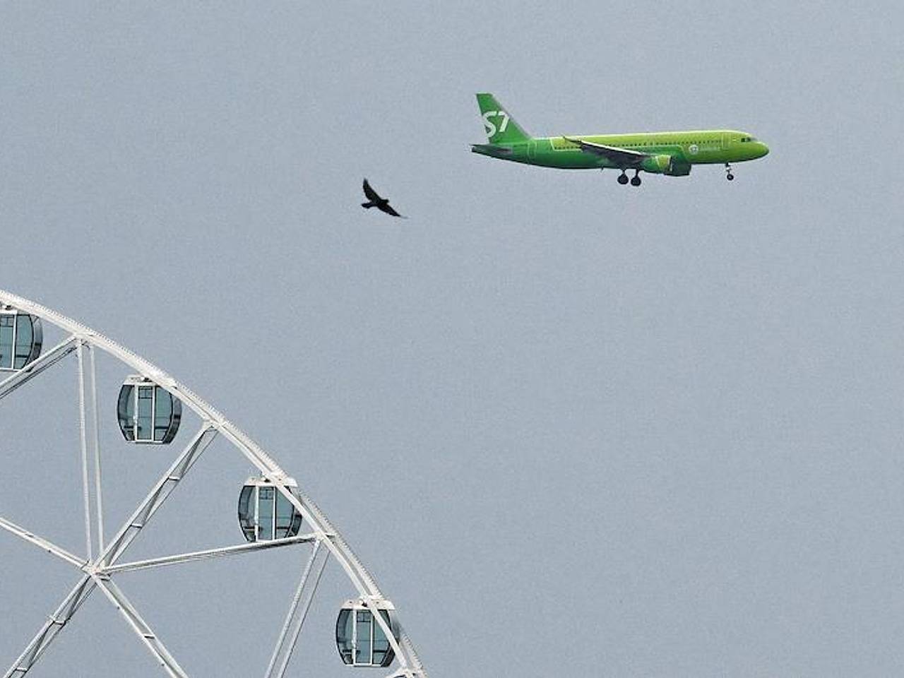 Российская авиакомпания запретила пилотам снимать красивые посадки и взлеты