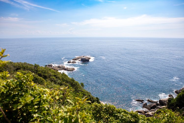 Кеймада-Гранди: бразильский остров, где на каждый квадратный метр приходится по ядовитой змее