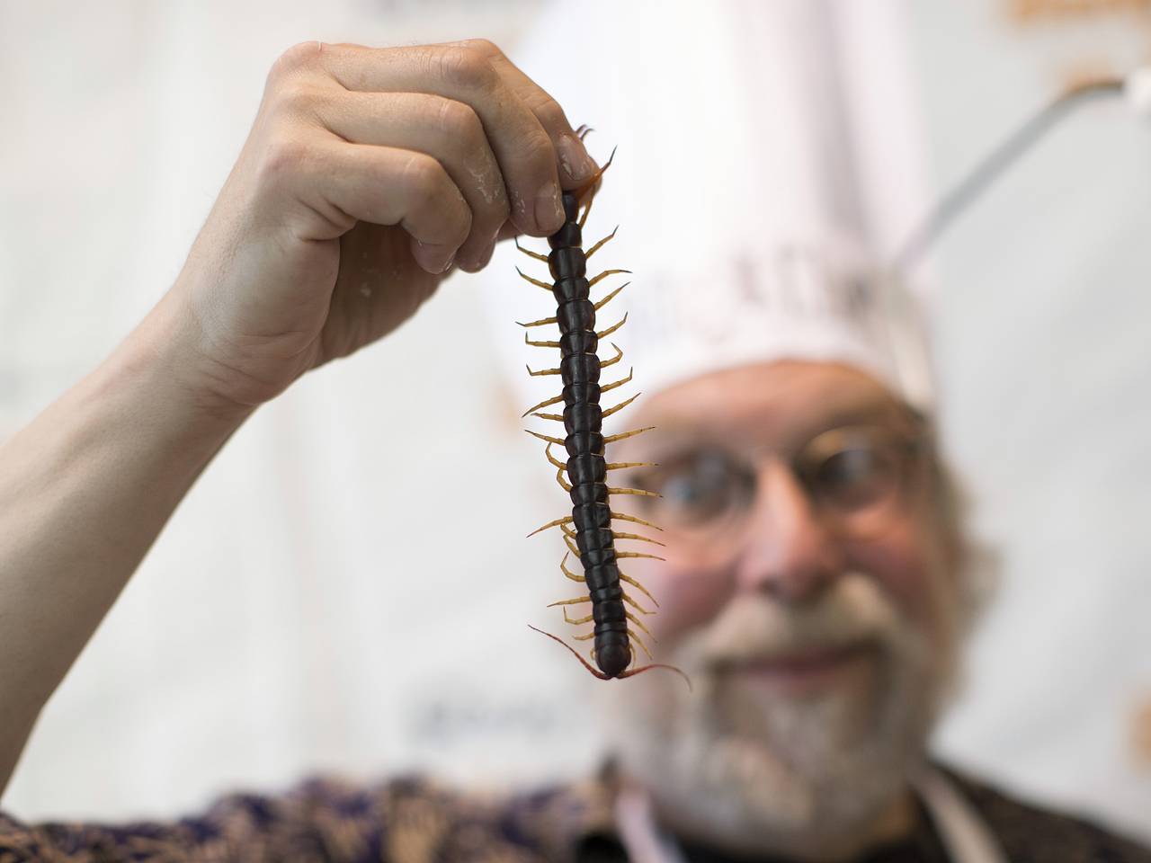 Россиянам предложили опасаться насекомых в одной стране Азии