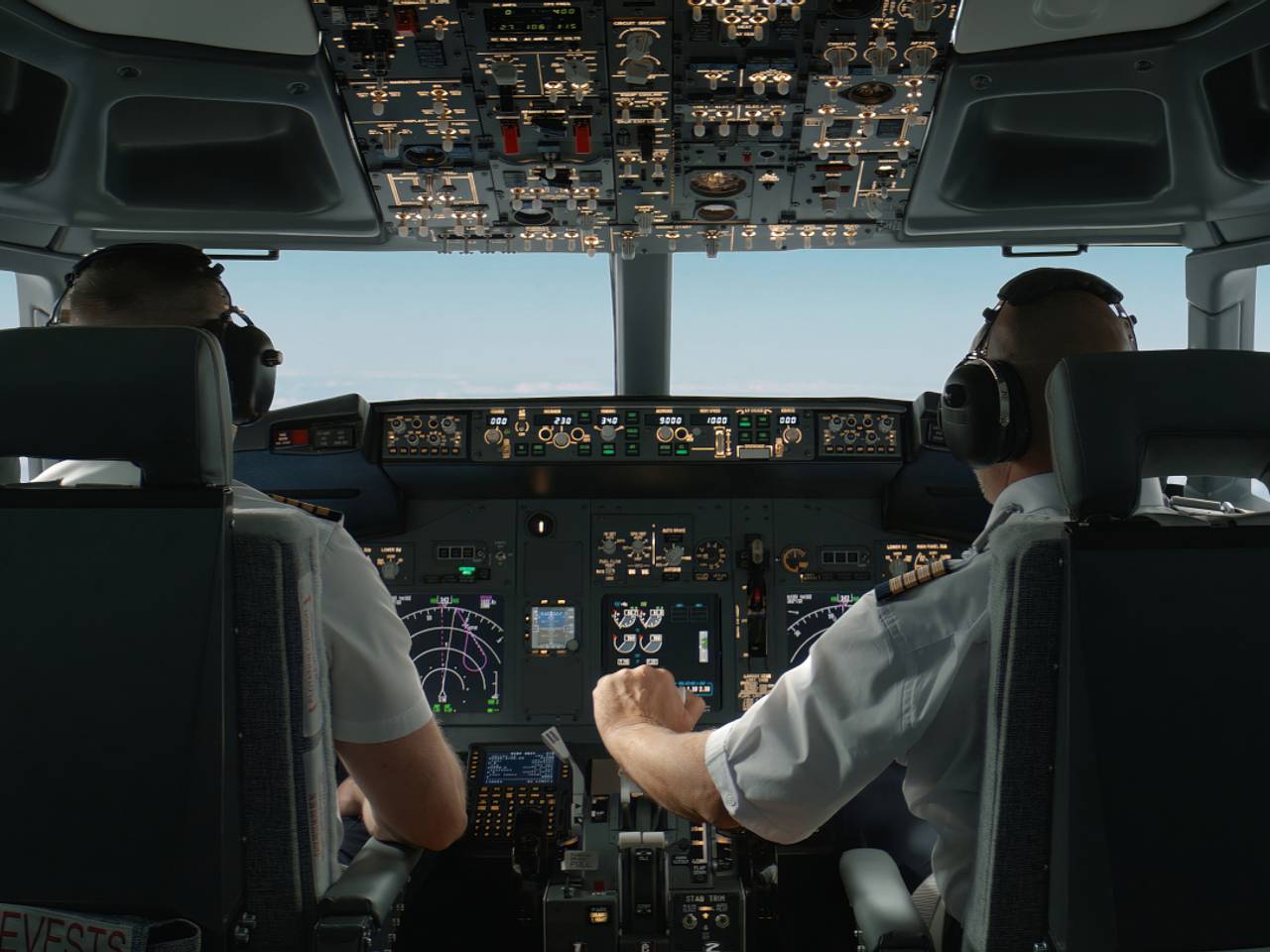 Врезавшаяся в пассажирский самолет птица сорвала рейс в Европе