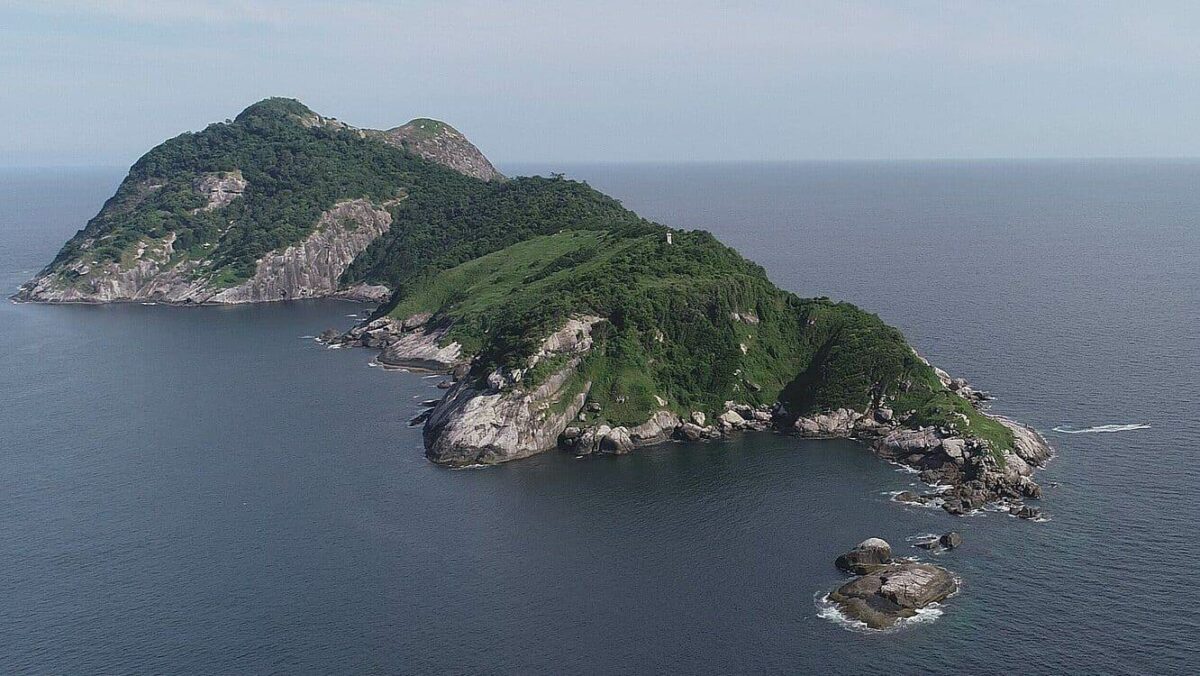 Кеймада-Гранди: бразильский остров, где на каждый квадратный метр приходится по ядовитой змее