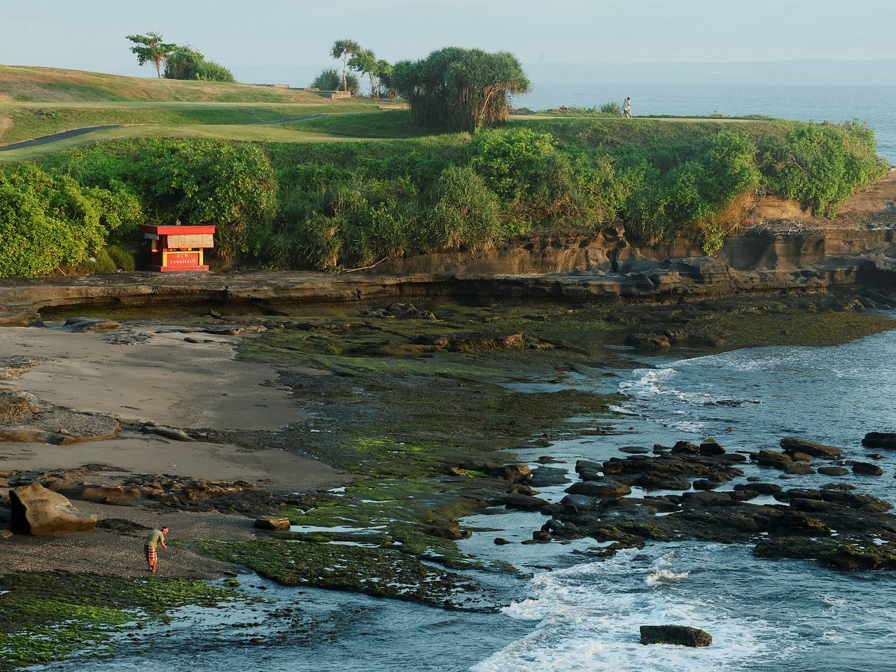 Россиянка покрылась зудящей сыпью после контакта с насекомым на Бали