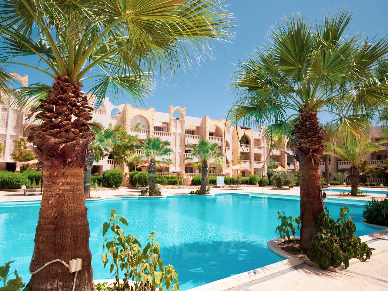 Безопасность российских туристов в Египте оценили