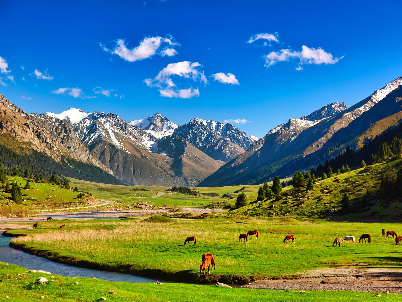 Тревел-блогерша описала пять стран фразой &laquo;россияне начали объезжать стороной&raquo;