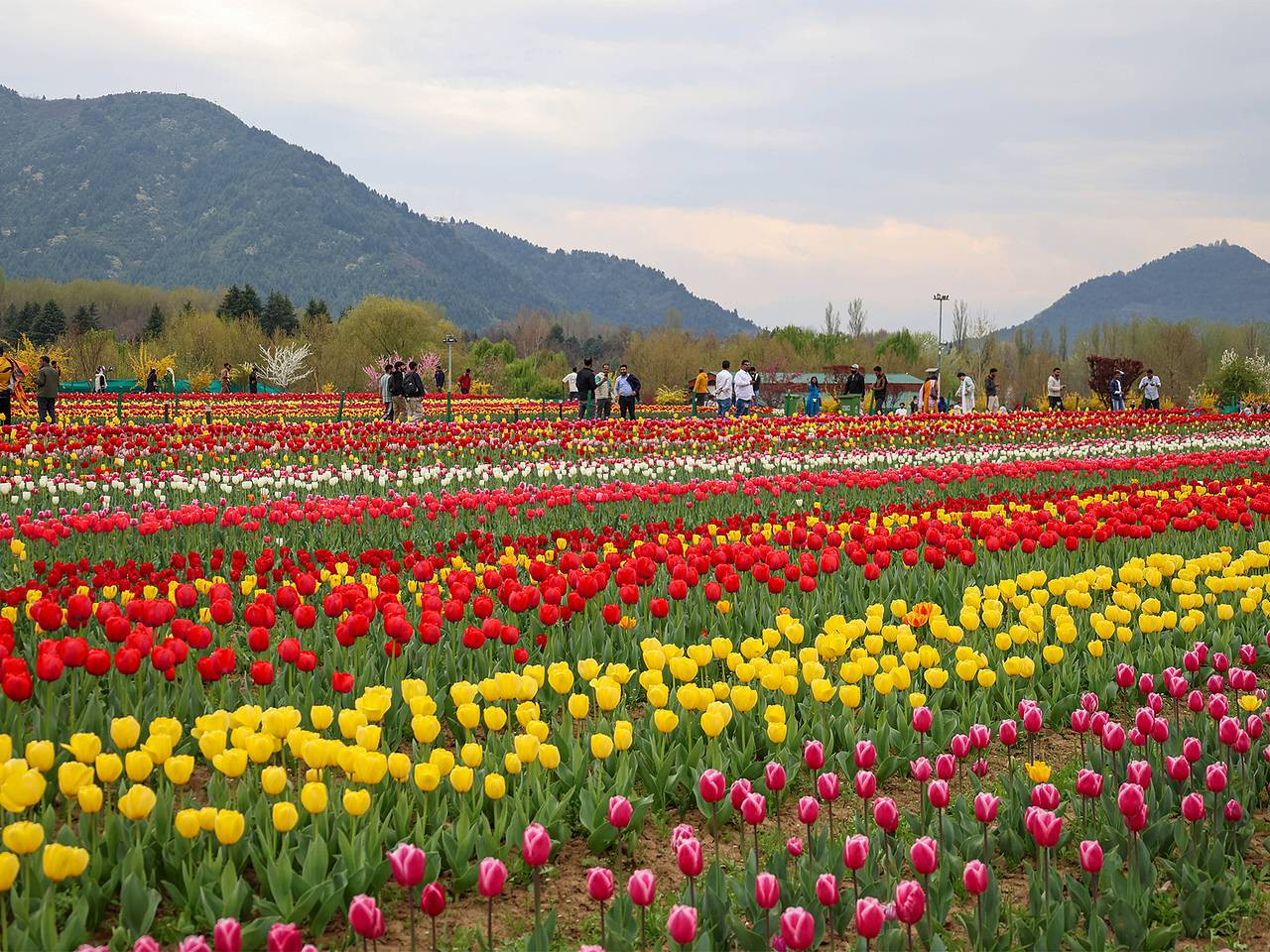 Безвиз для туристических групп в Индию описали словами «бума не вызовет»