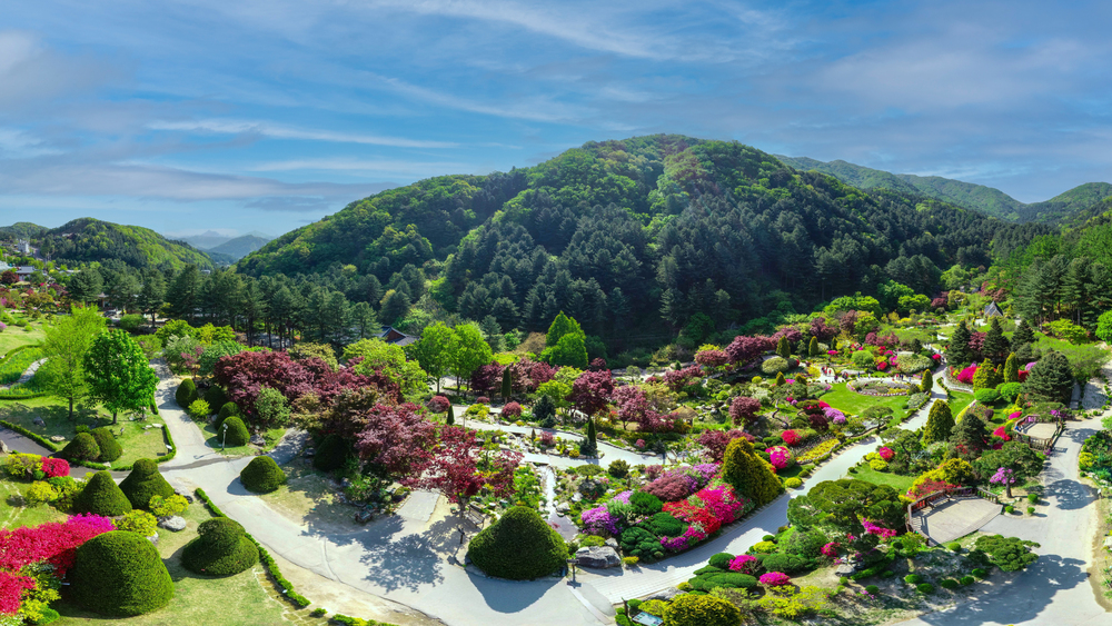 Южная Корея на майские праздники и летом: два тура с русскоговорящим гидом — цветущий Сеул и неповторимый Пусан Южная Корея на майские праздники и летом: два тура с русскоговорящим гидом — цветущий Сеул и неповторимый Пусан